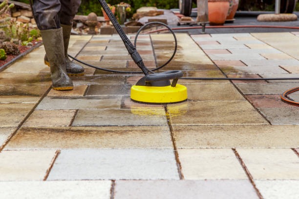 Animal Enclosure Cleaning in Heritage Village, CT